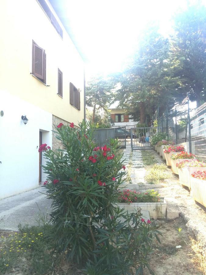 Villa Andrea B&B San Silvestro  Екстер'єр фото
